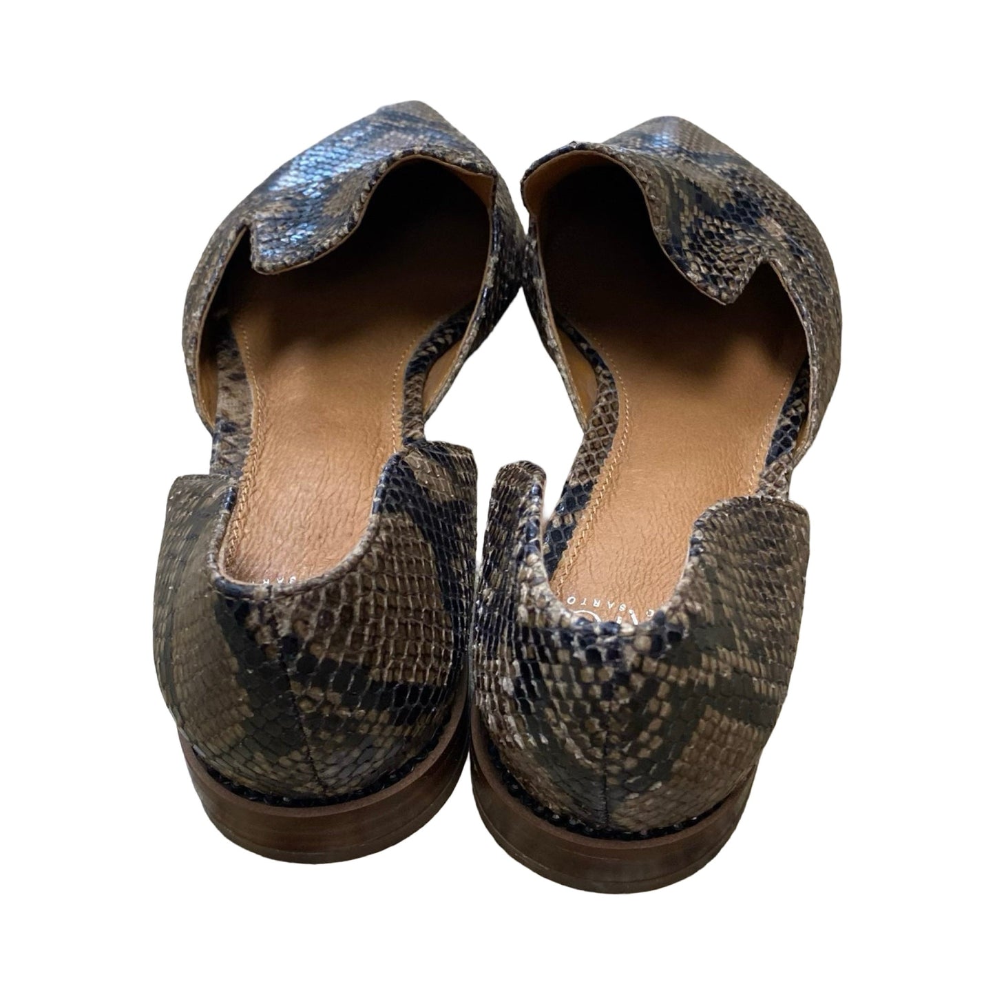 Shoes Flats By Franco Sarto In Snakeskin Print, Size:8.5