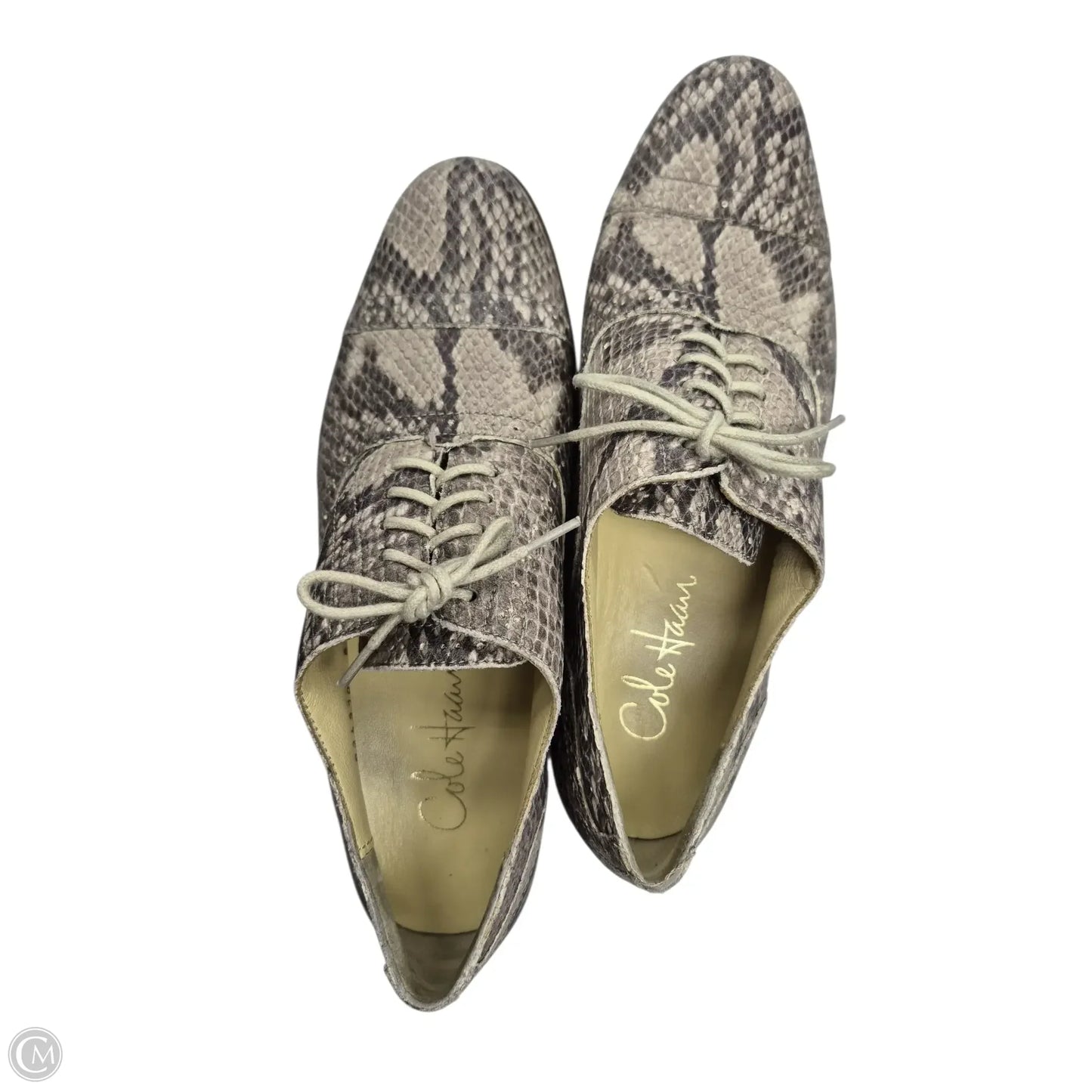 Shoes Flats By Cole-haan In Snakeskin Print, Size: 6