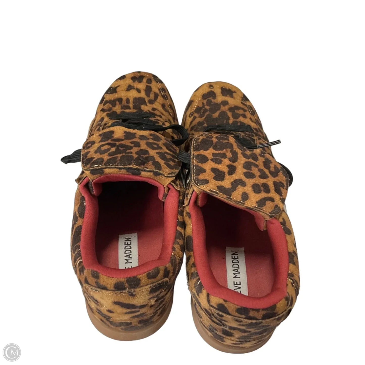 Shoes Sneakers By Steve Madden In Animal Print, Size: 8.5
