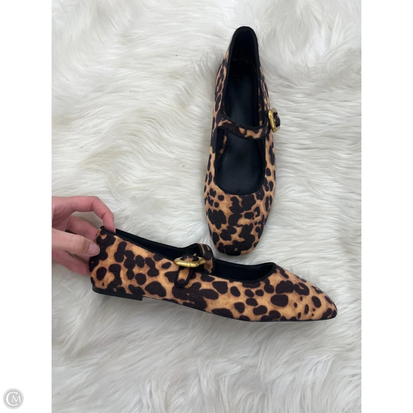 Shoes Flats By H&m In Animal Print, Size: 10