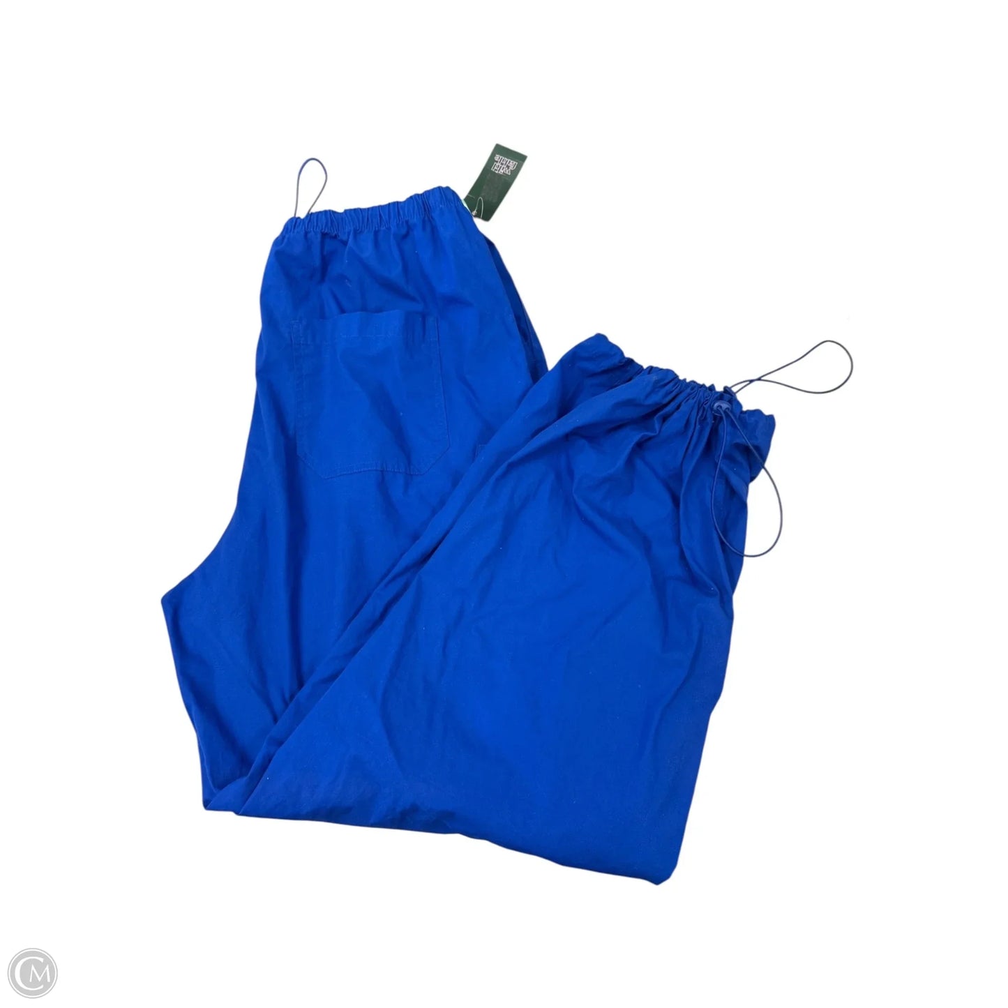 Pants Cargo & Utility By Wild Fable In Blue, Size: L