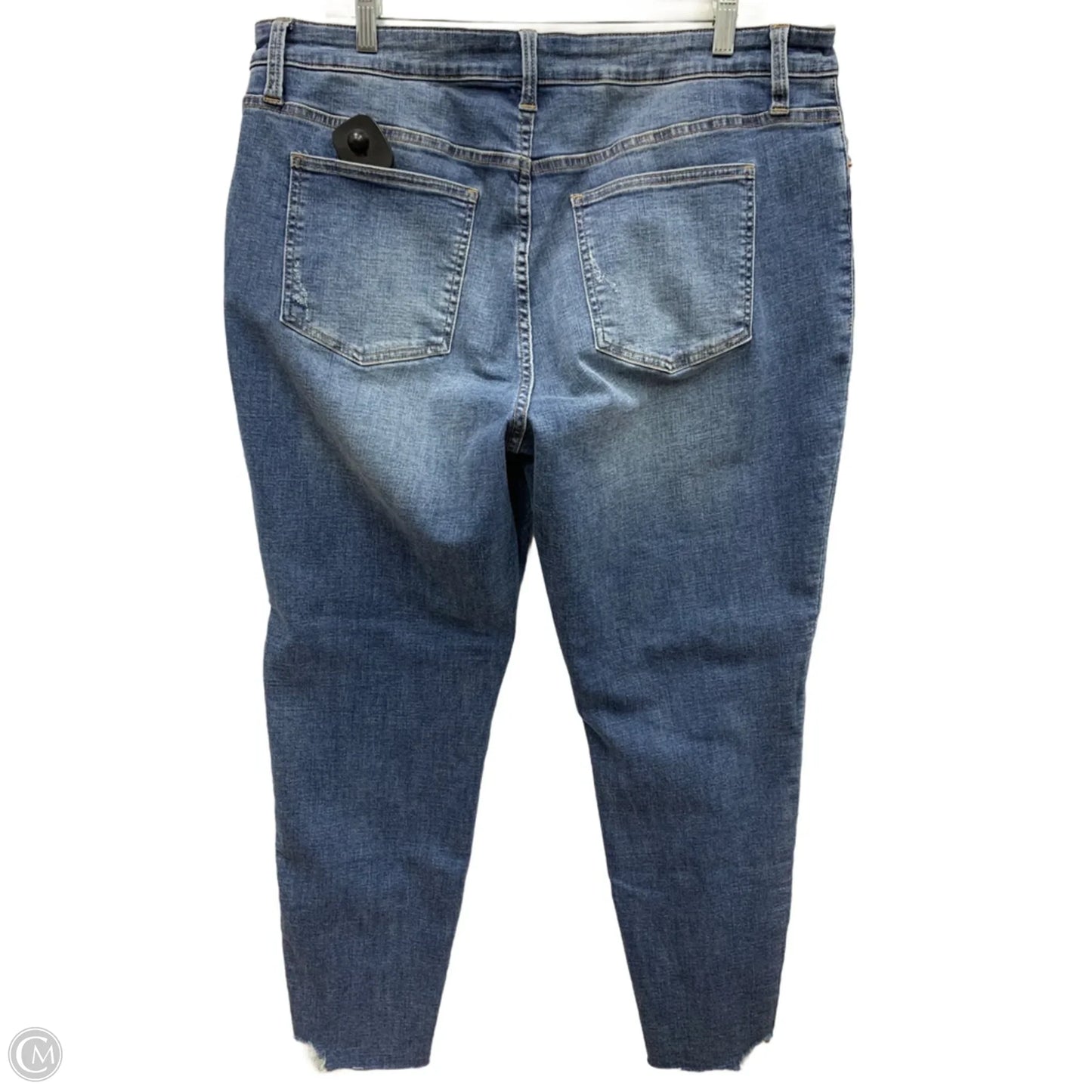 Jeans Skinny By Pistola In Blue Denim, Size: 2x