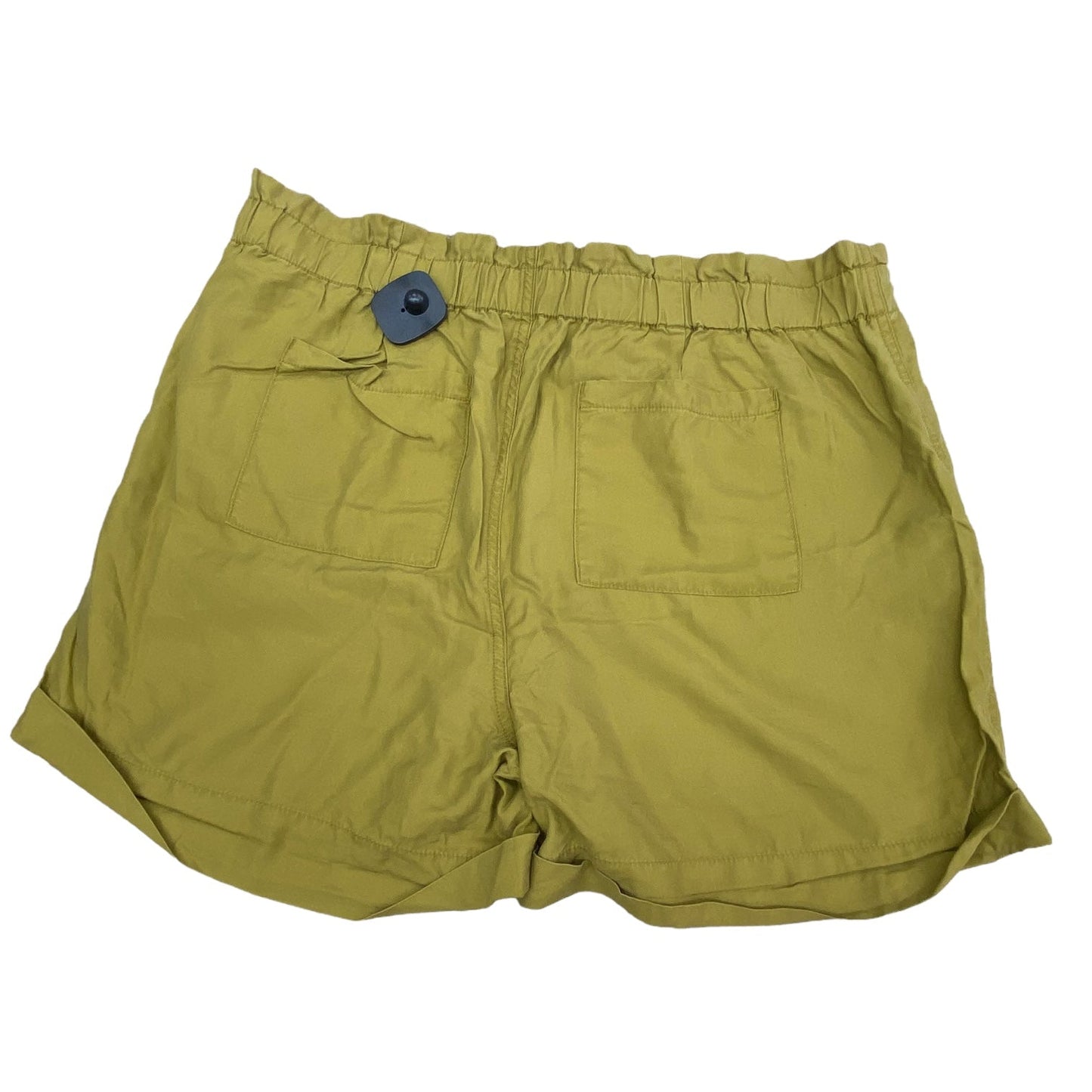 Shorts By Loft Size: L