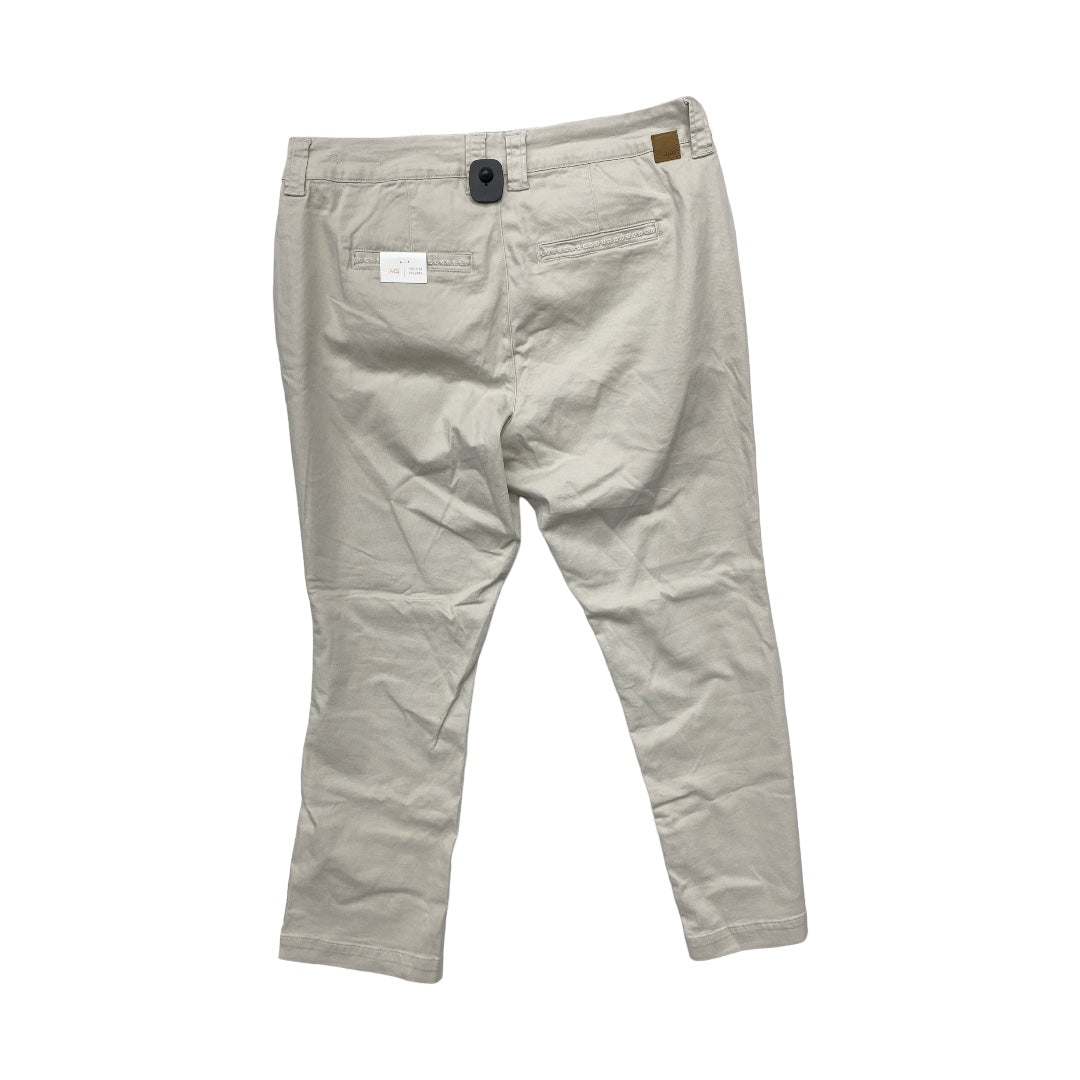 Pants Other By Jag Size: 1x