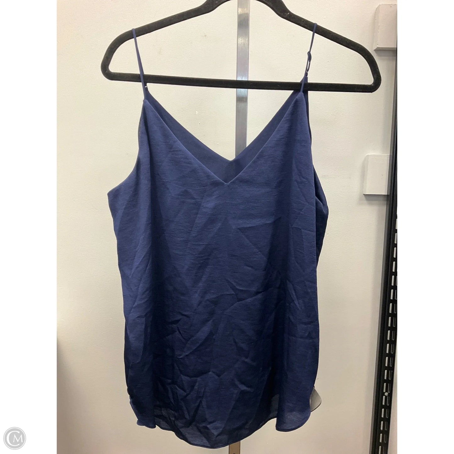 Top Sleeveless By Express In Blue, Size: L