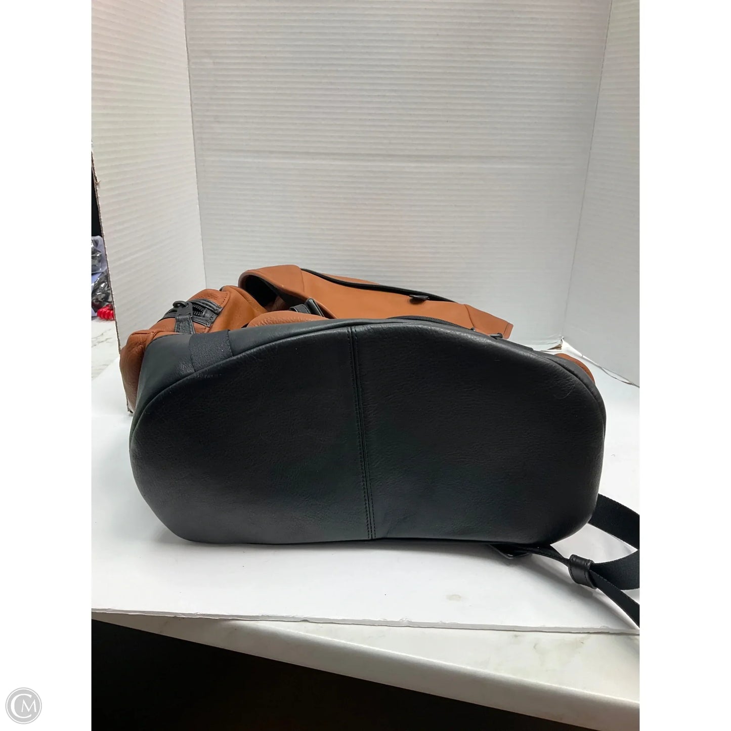 Backpack Designer By Coach, Size: Large