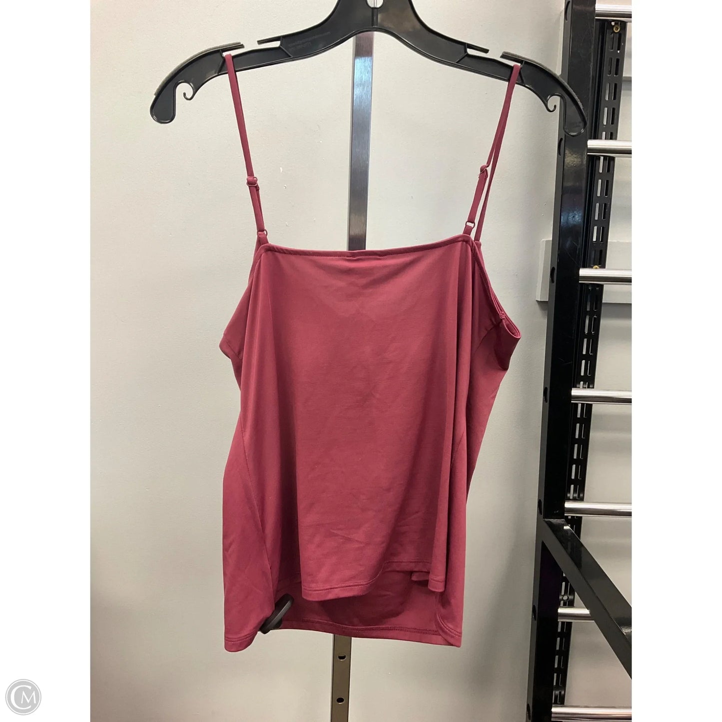 Top Sleeveless Basic By Express In Maroon, Size: L