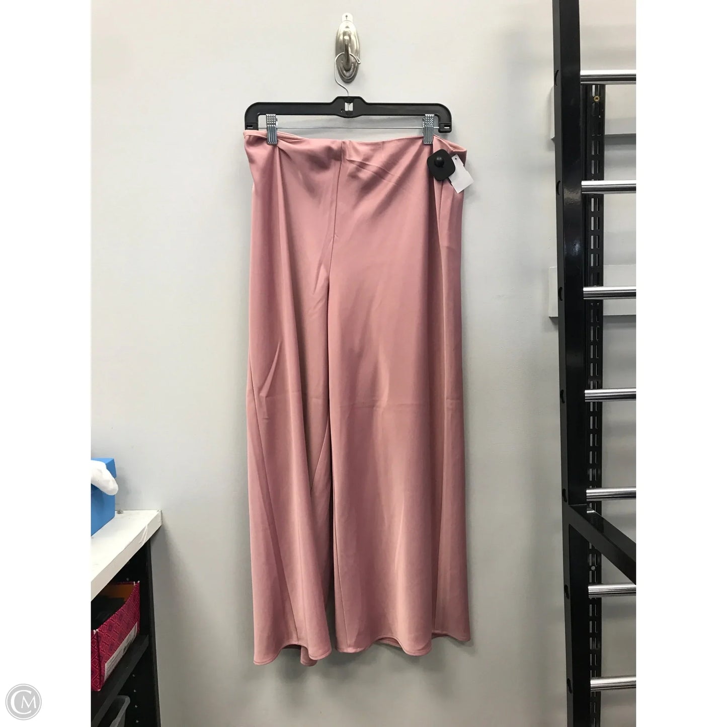 Pants Wide Leg By Joie In Pink, Size: 10