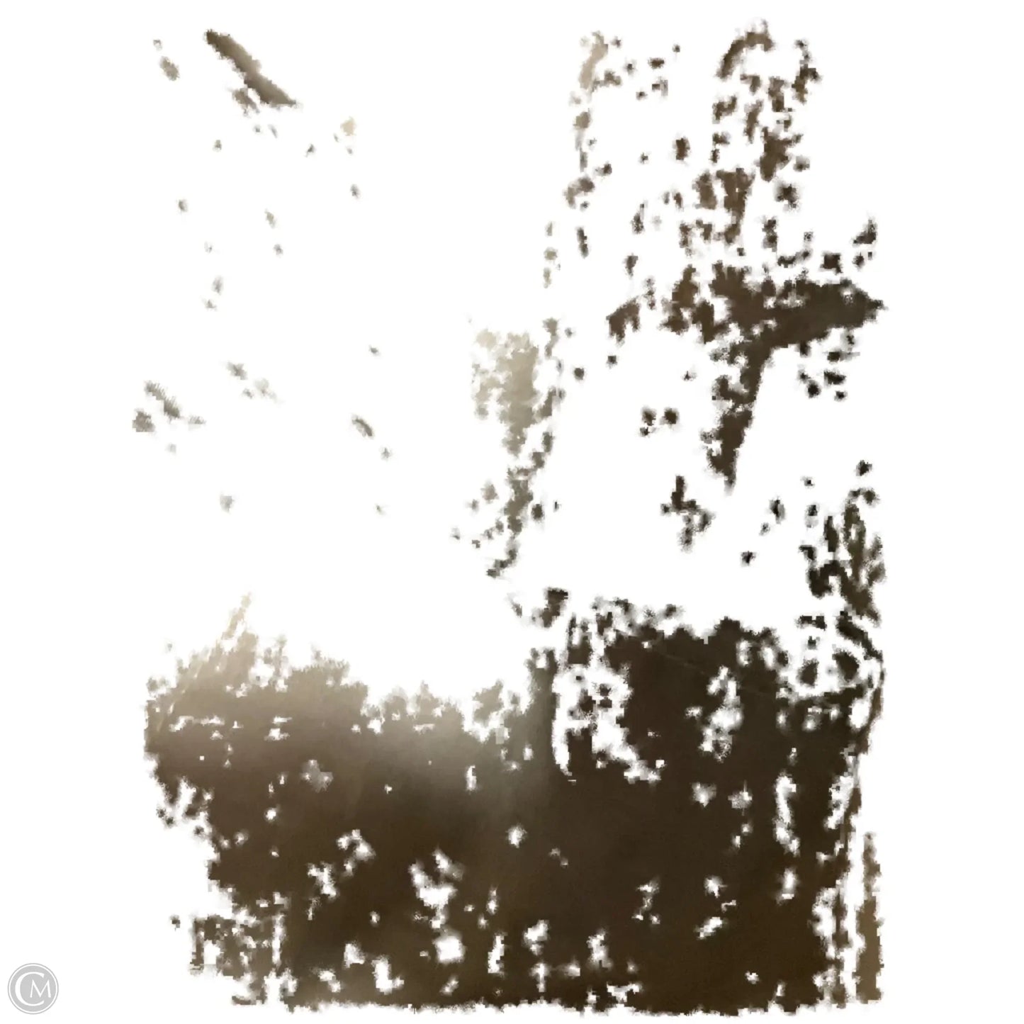 Handbag By Saks Fifth Avenue, Size: Medium