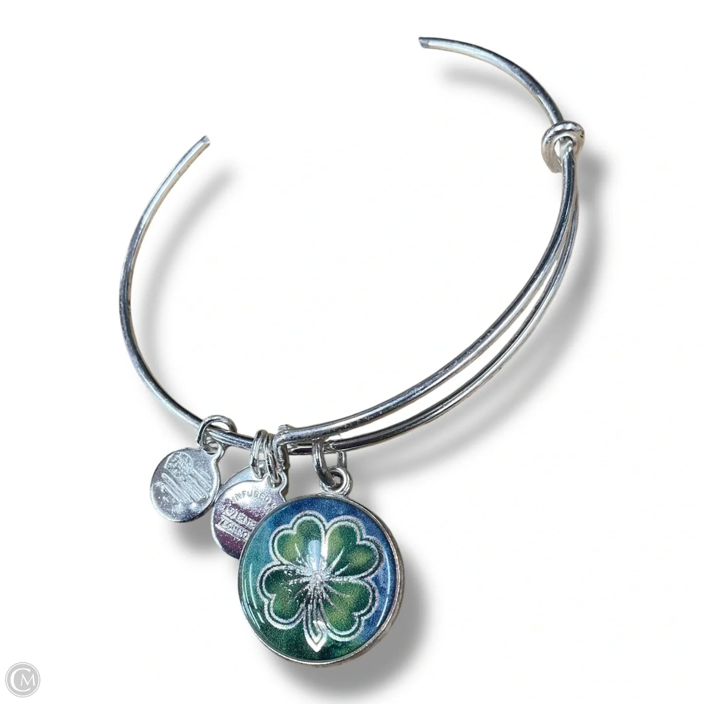 Bracelet Bangle By Alex And Ani