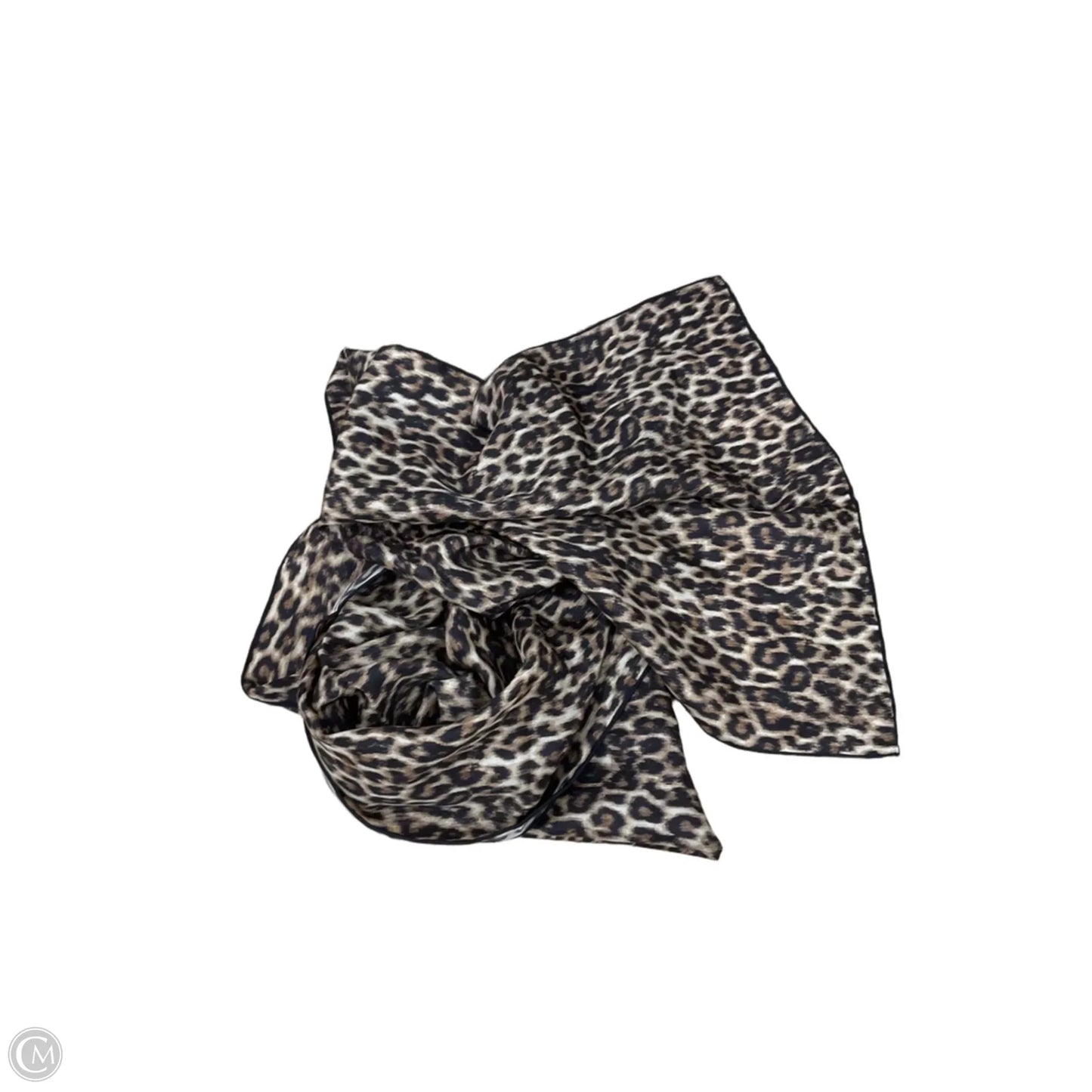 Scarf Long By Clothes Mentor