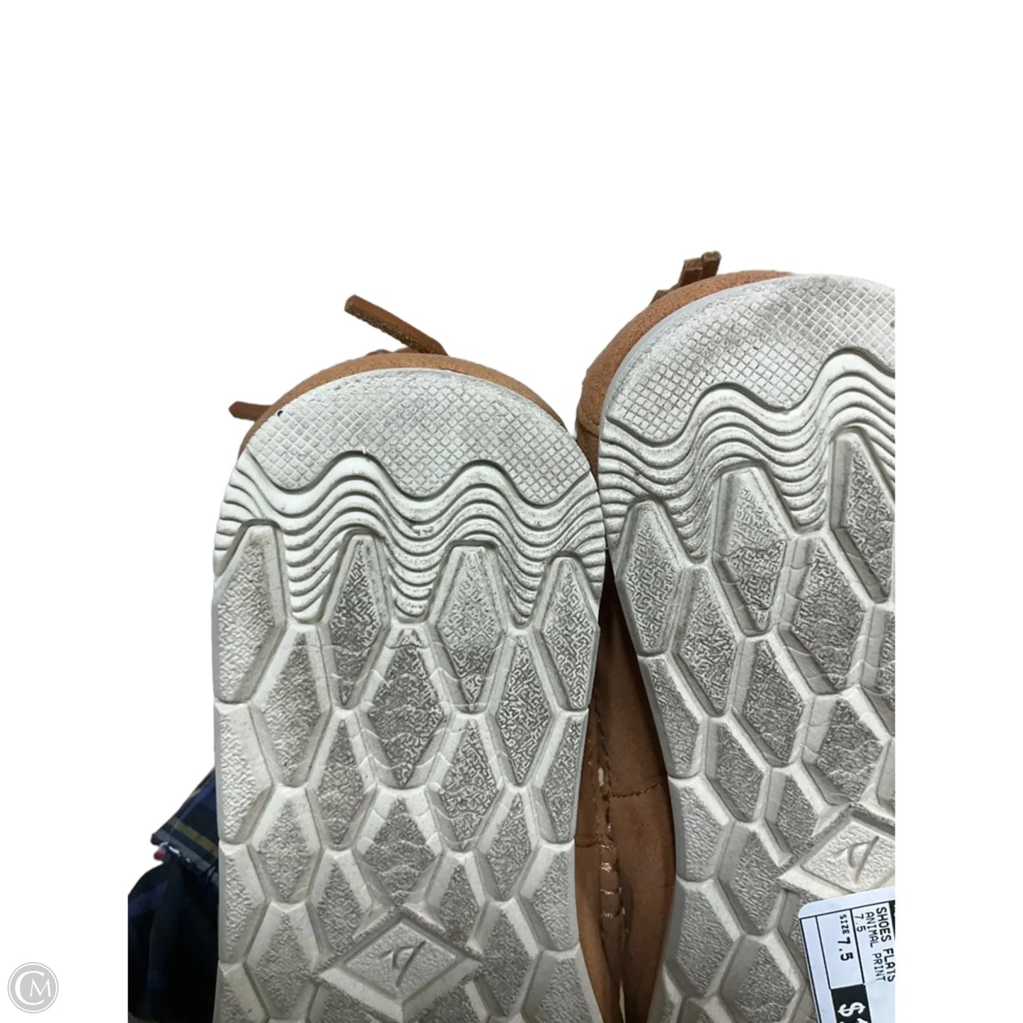 Shoes Flats By Sperry In Animal Print, Size: 7.5