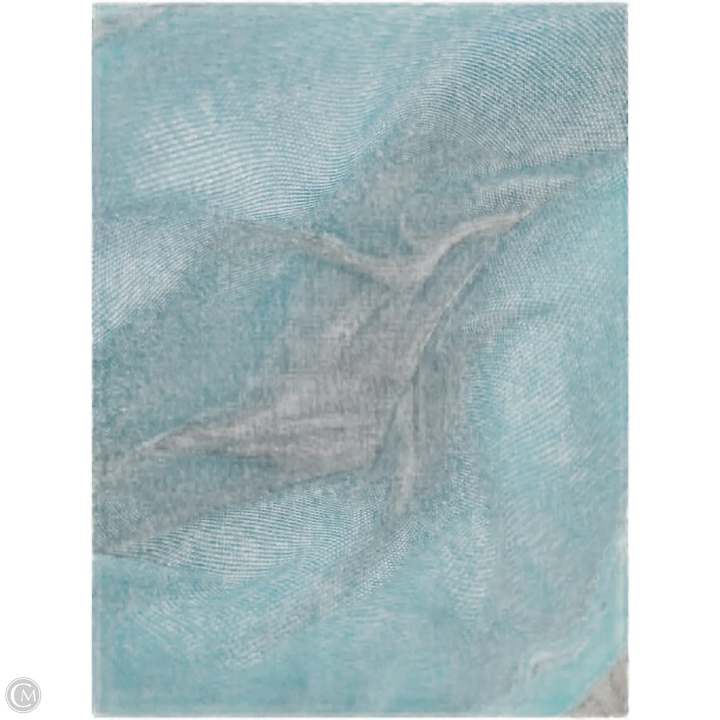 Crossbody By Badgley Mischka, Size: Medium