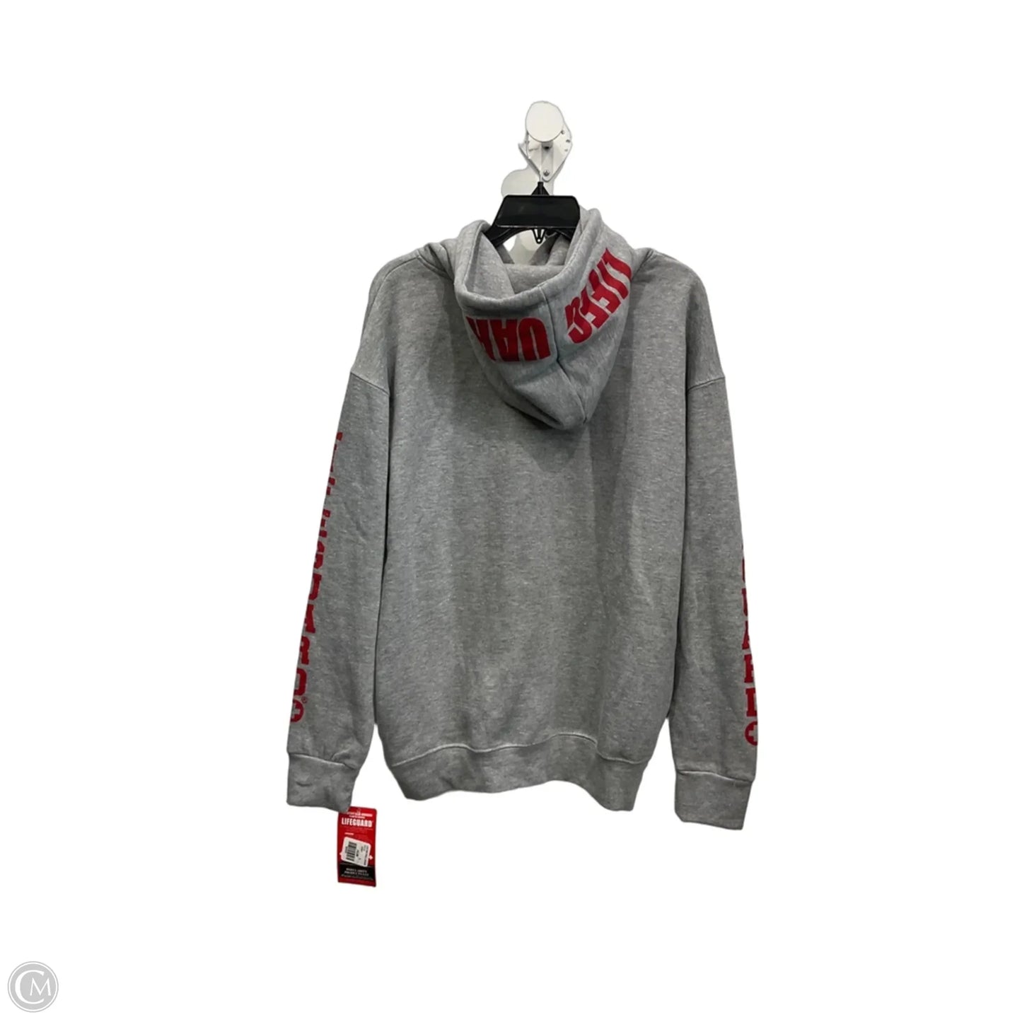 Sweatshirt Hoodie By Clothes Mentor In Grey, Size: L