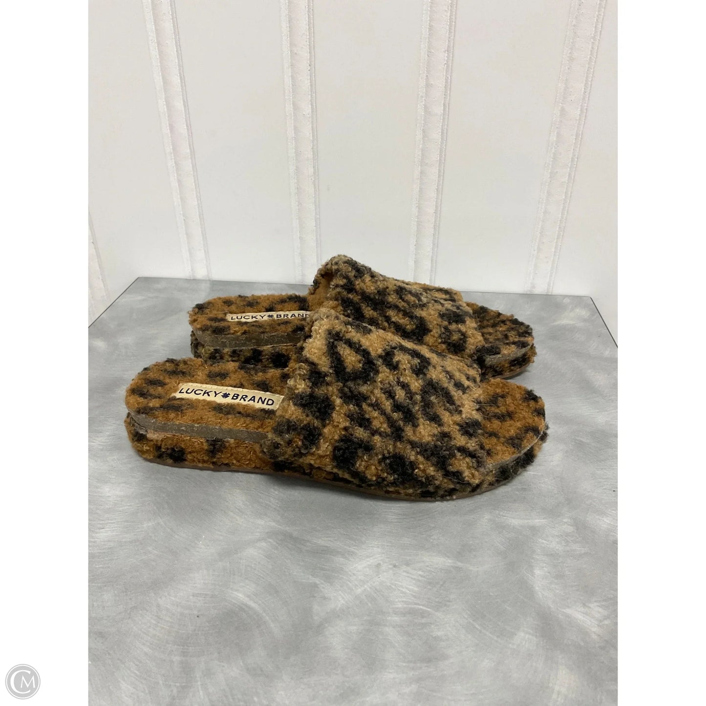 Sandals Flats By Lucky Brand In Leopard Print, Size: 6.5