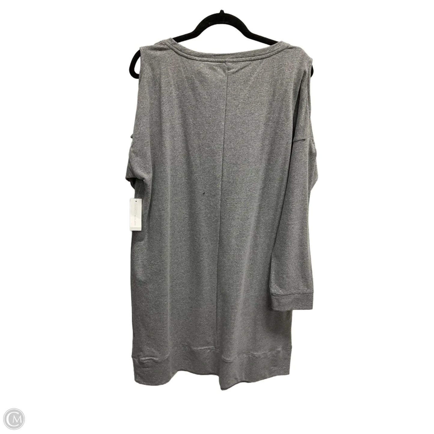 Tunic Long Sleeve By New York And Co In Grey, Size: Xl
