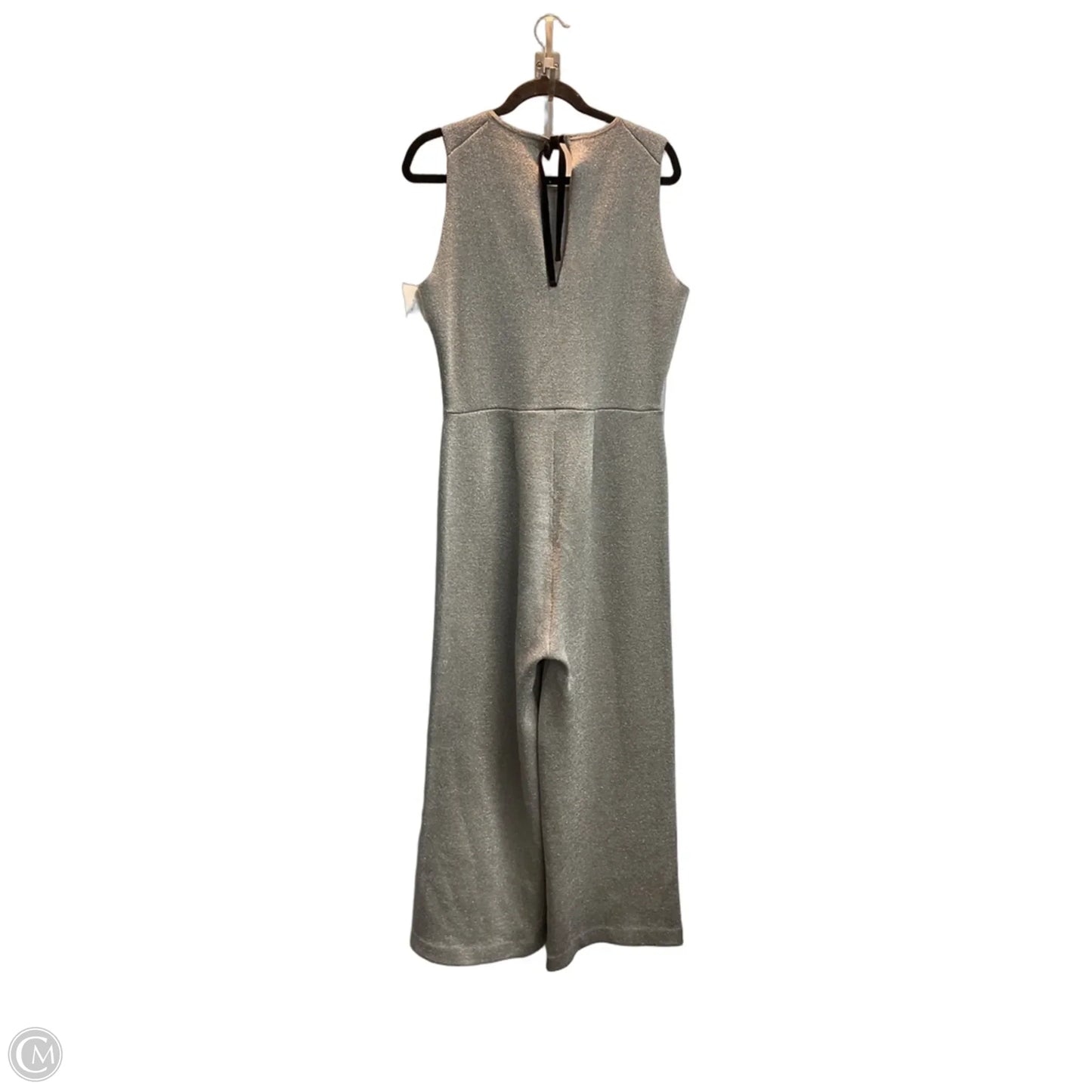 Jumpsuit By J. Crew In Silver, Size: M