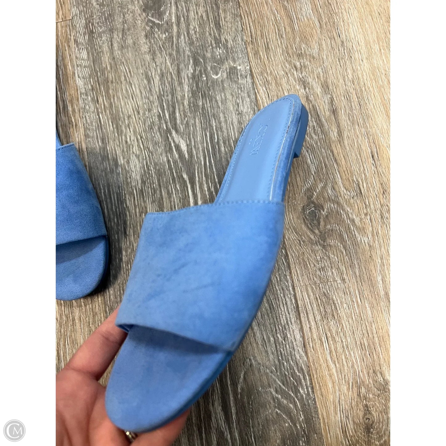 Sandals Flats By J. Crew In Blue, Size: 6