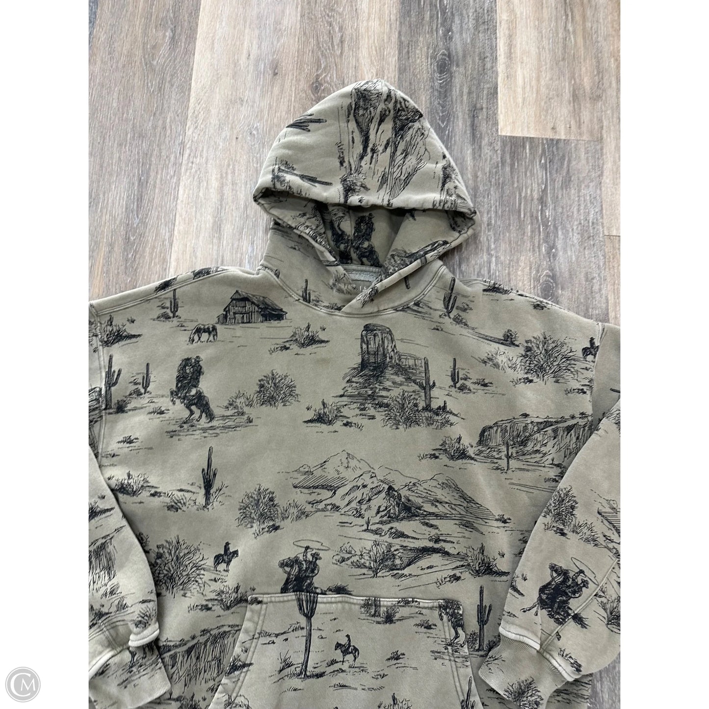 Sweatshirt Hoodie By Abercrombie And Fitch In Green, Size: Xl