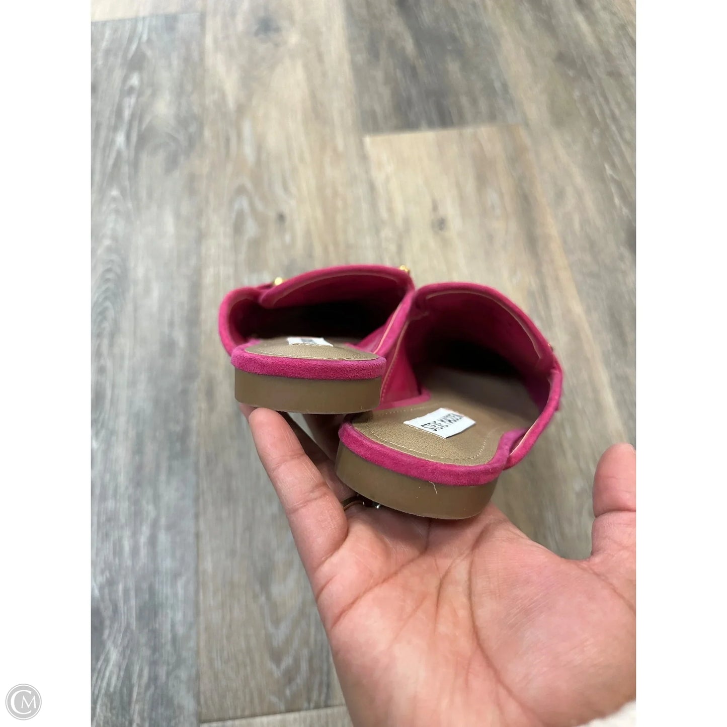 Shoes Flats By Steve Madden In Pink, Size: 7.5