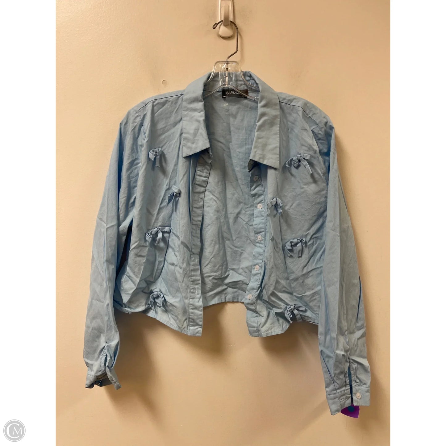 Blouse Long Sleeve By Lulumari In Blue, Size: L