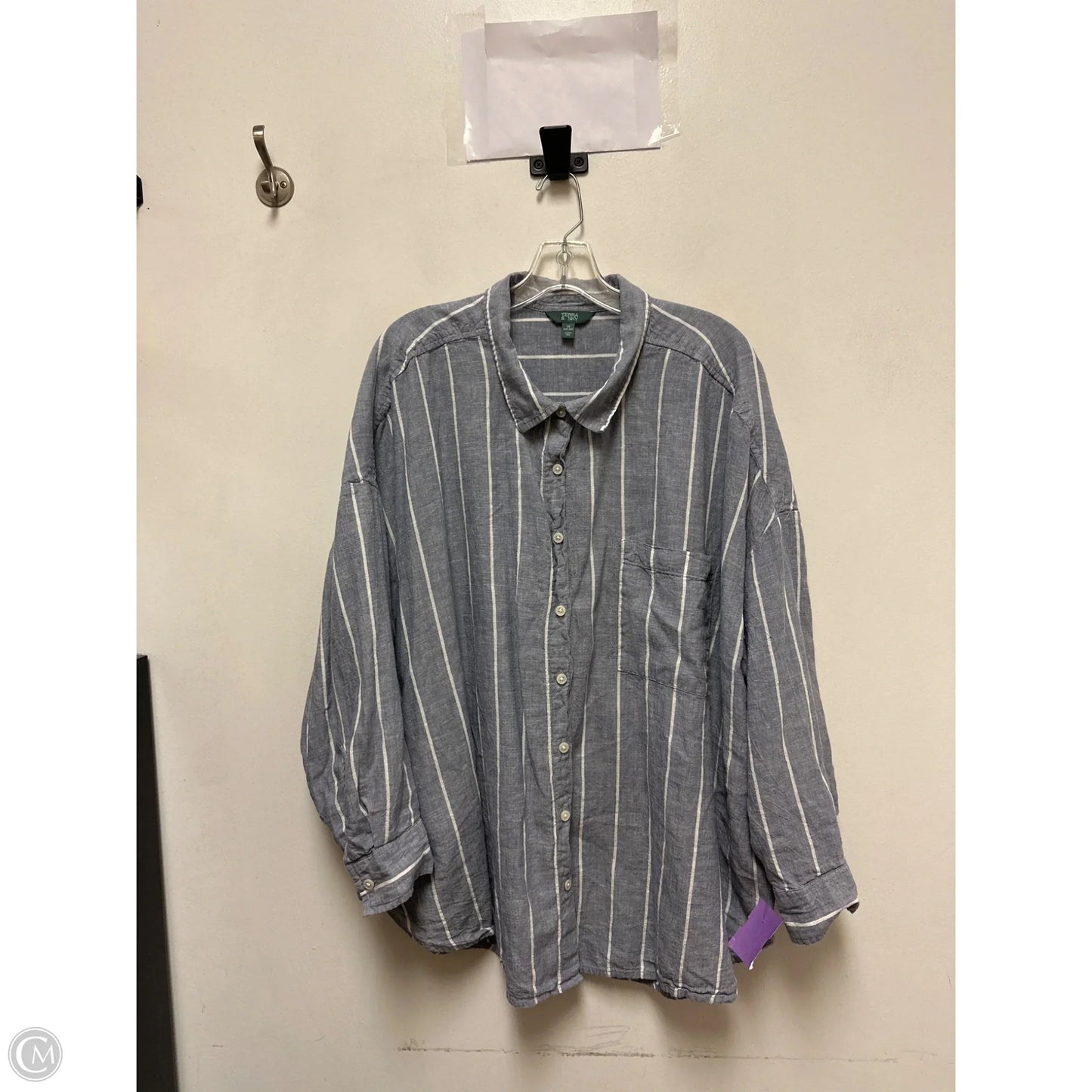 Blouse Long Sleeve By Terra & Sky In Blue, Size: 3x