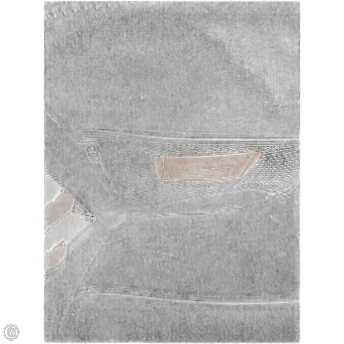 Backpack Designer By Coach, Size: Medium