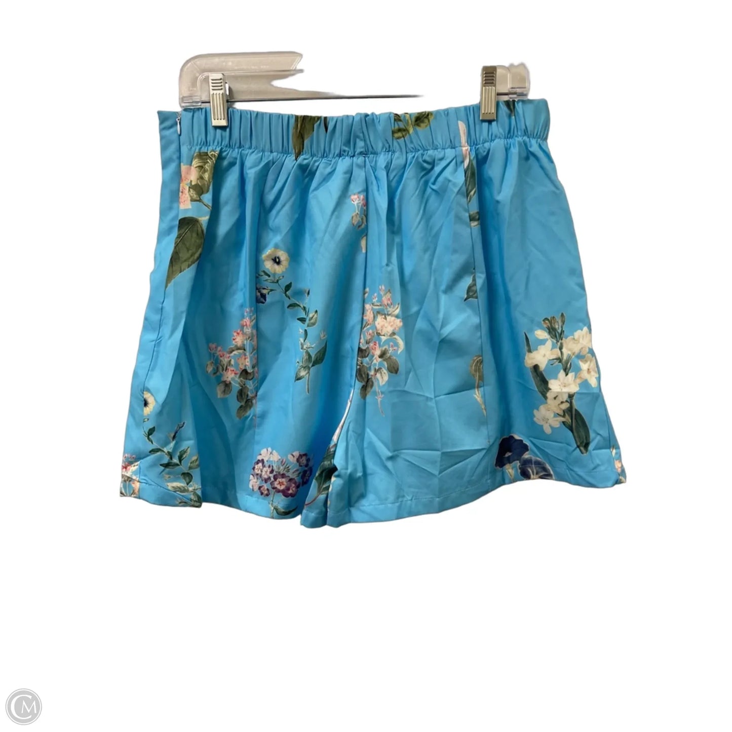 Shorts By Clothes Mentor In Blue, Size: L