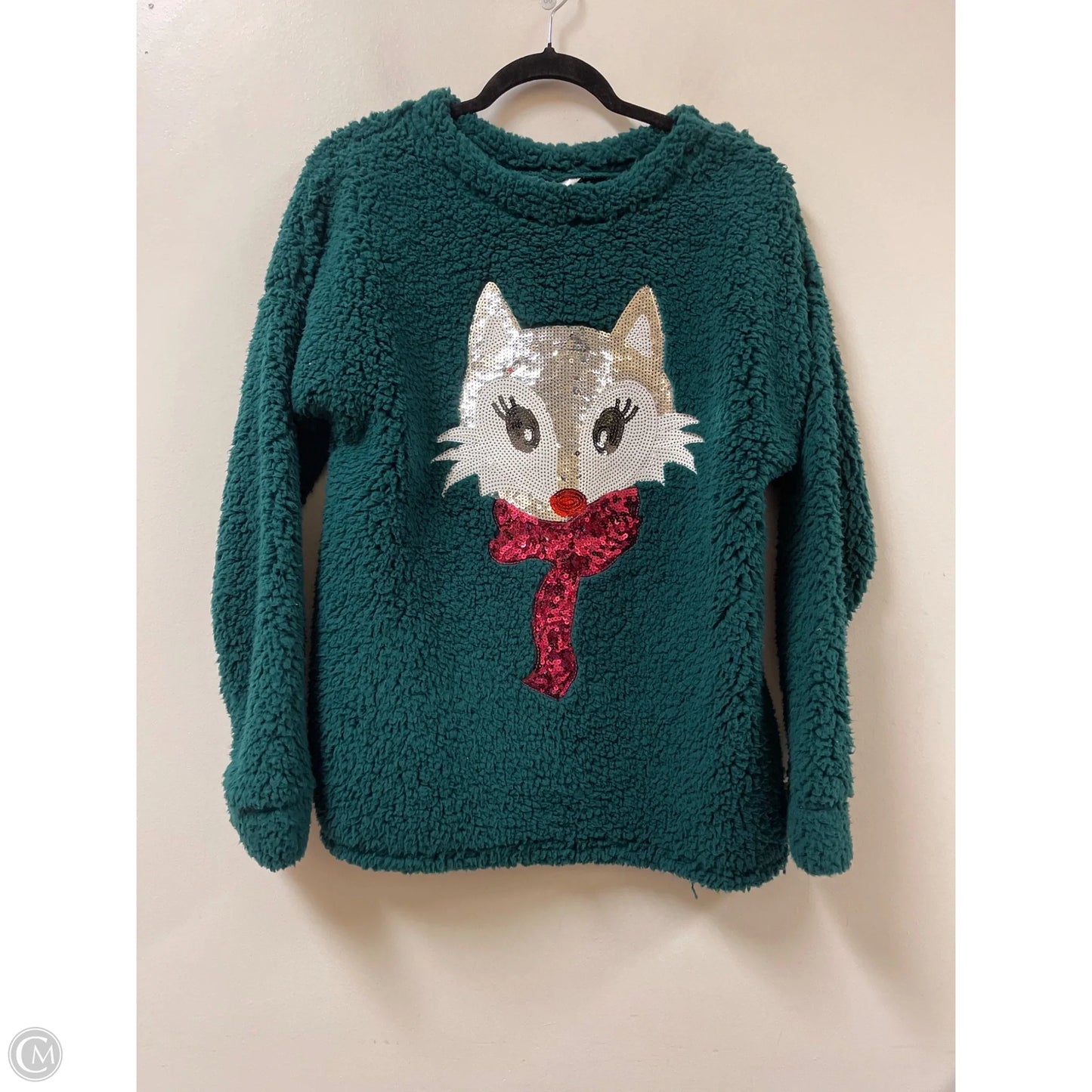 Sweater By Time And Tru In Green, Size: L