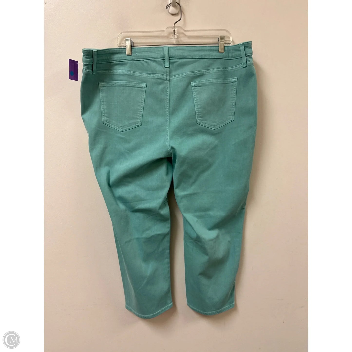 Pants Other By Chicos In Aqua, Size: 20
