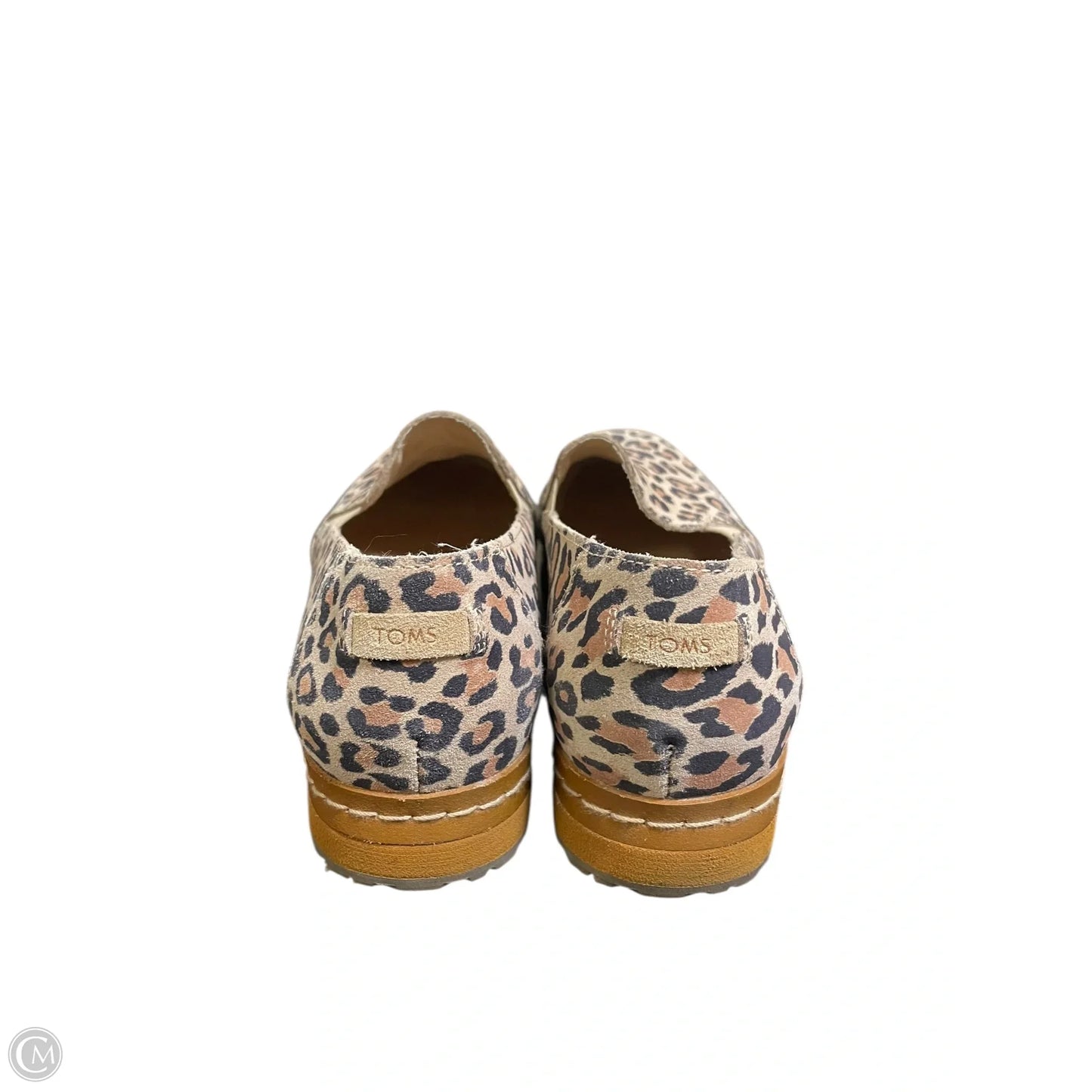Shoes Flats By Toms In Animal Print, Size: 8