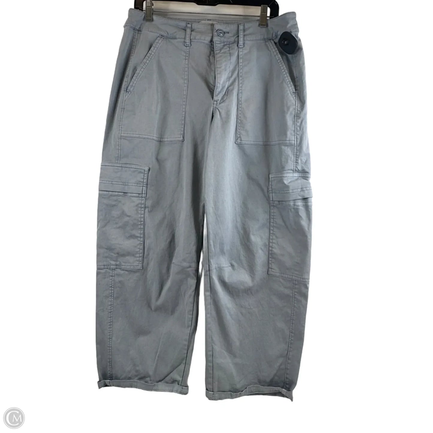 Pants Cargo & Utility By Universal Thread In Blue, Size: 12