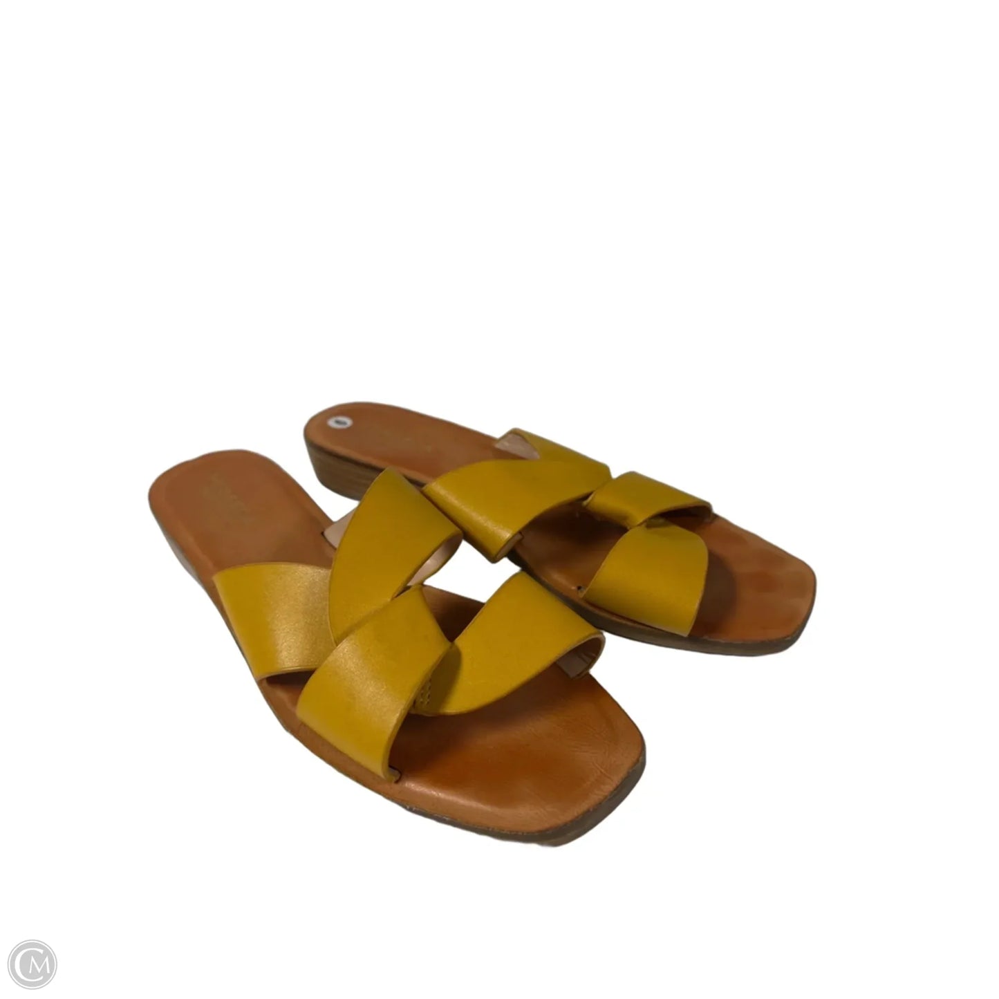Sandals Flats By Clothes Mentor In Yellow, Size: 9