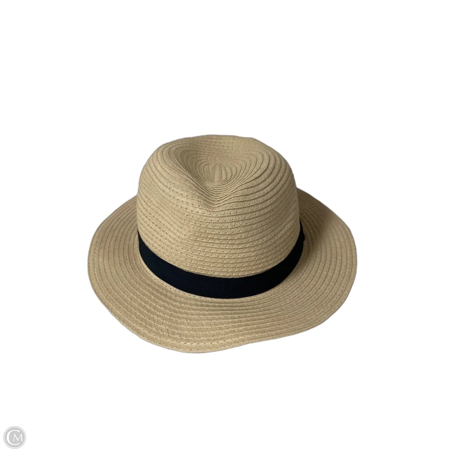 Hat Fedora By Loft
