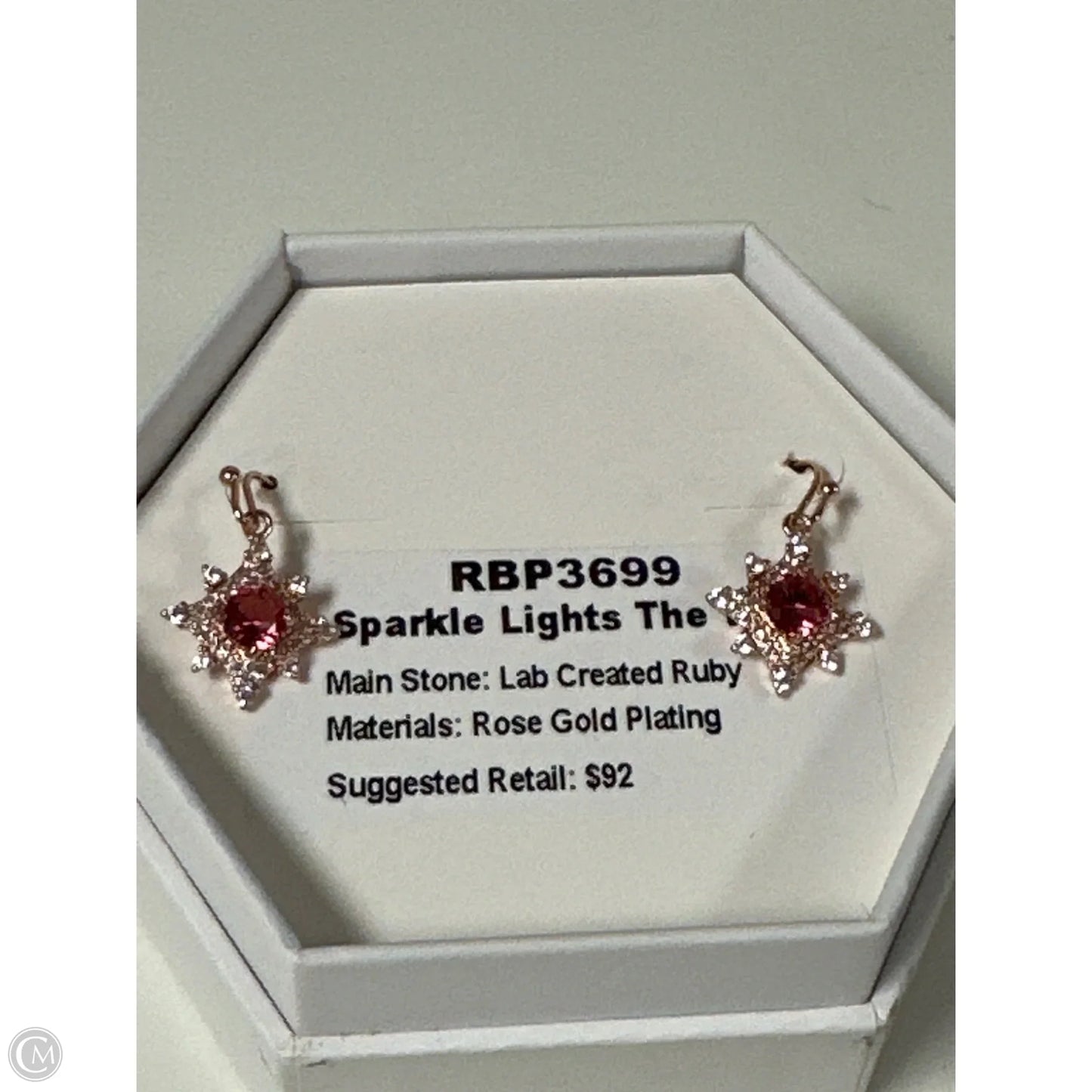 Earrings Dangle/drop By Clothes Mentor