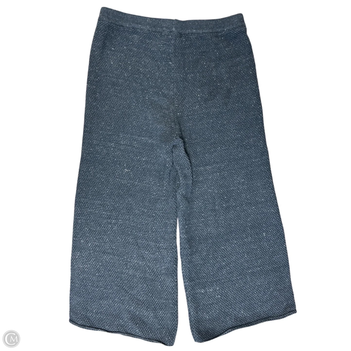 Pants Set 2pc By Free People In Blue, Size: Xl