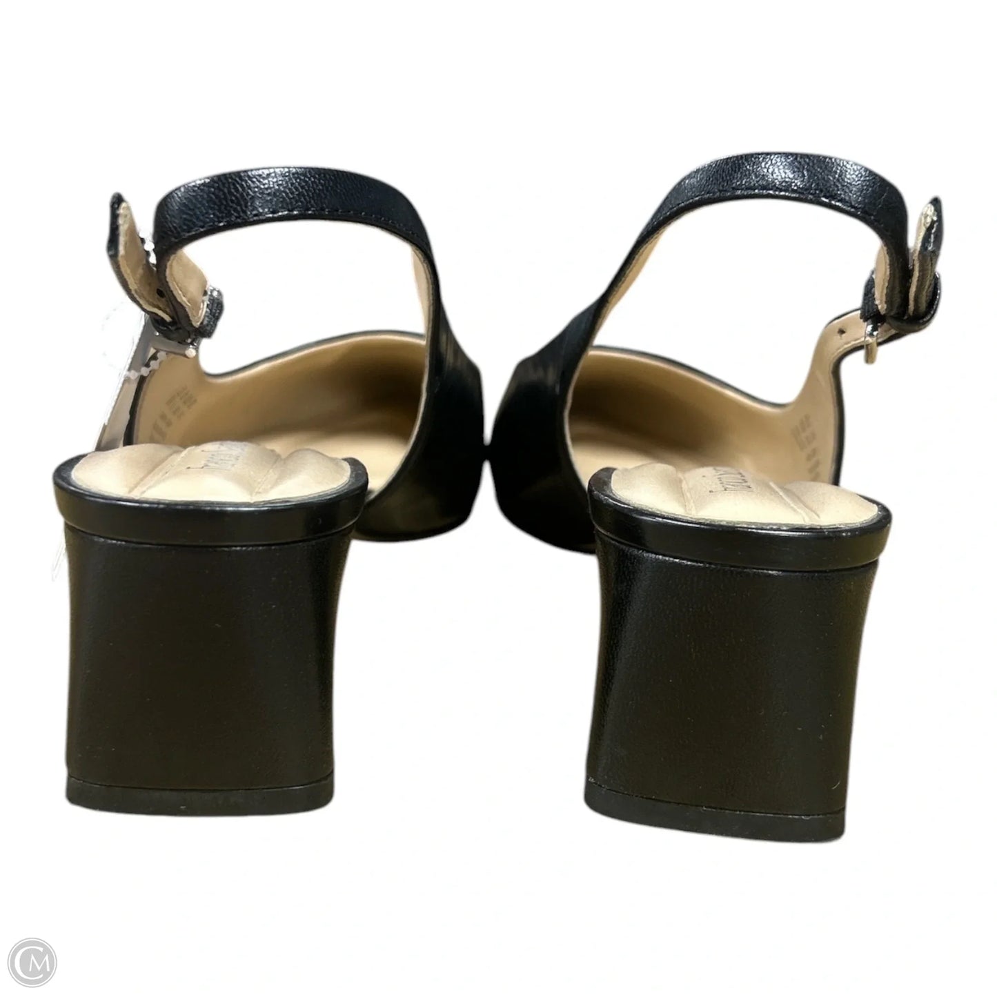 Shoes Heels Kitten By Franco Sarto In Black, Size: 8