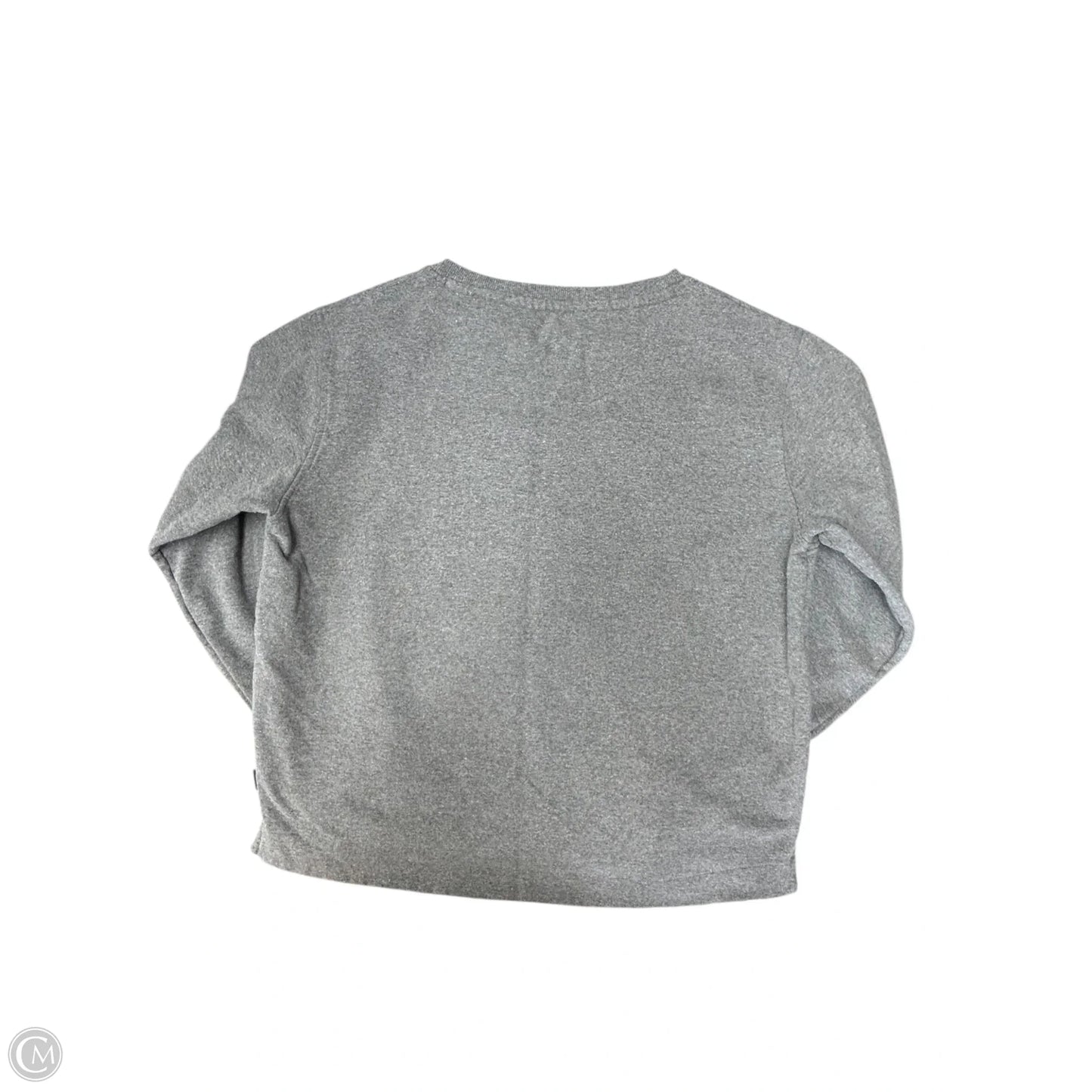 Sweatshirt Crewneck By Patagonia In Grey, Size: Xl
