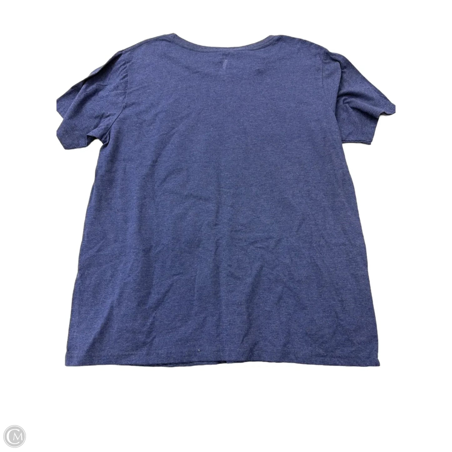 Top Short Sleeve By Clothes Mentor In Blue, Size: 2x
