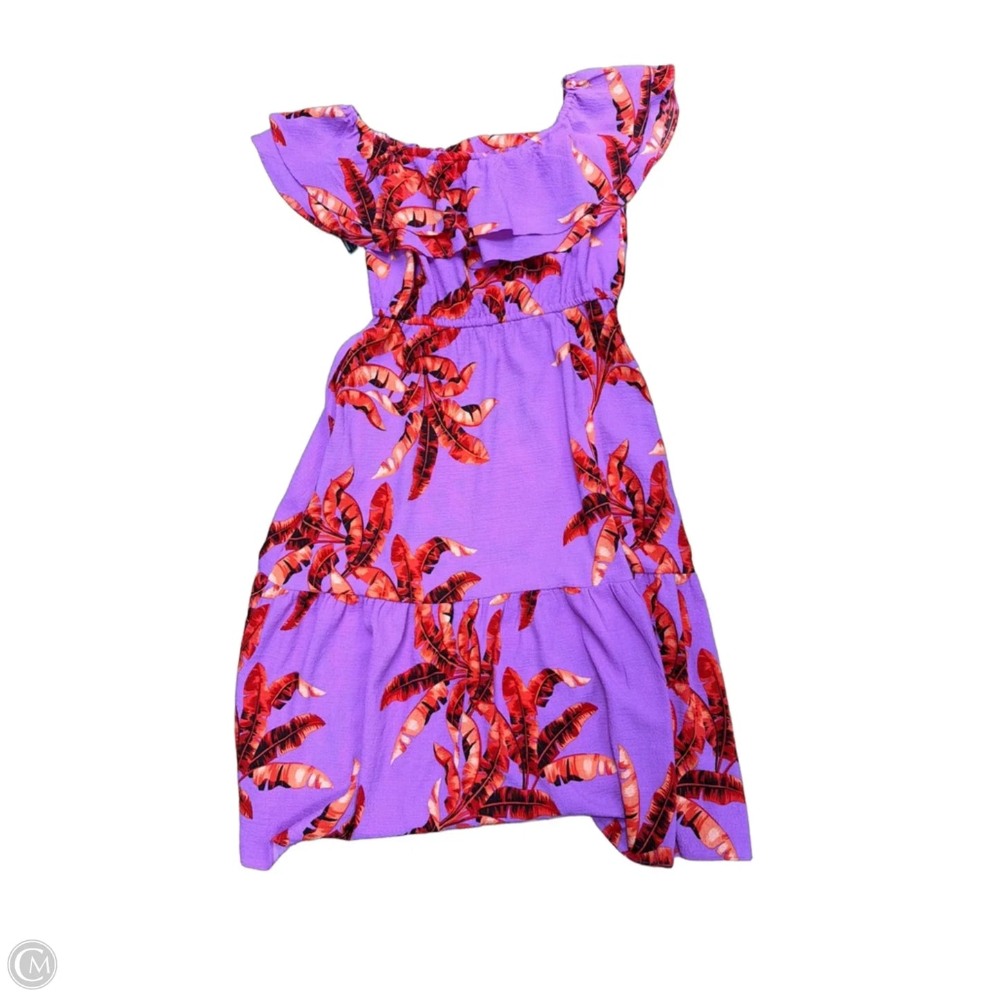 Dress Casual Maxi By Sofia By Sofia Vergara In Floral Print, Size: Xl