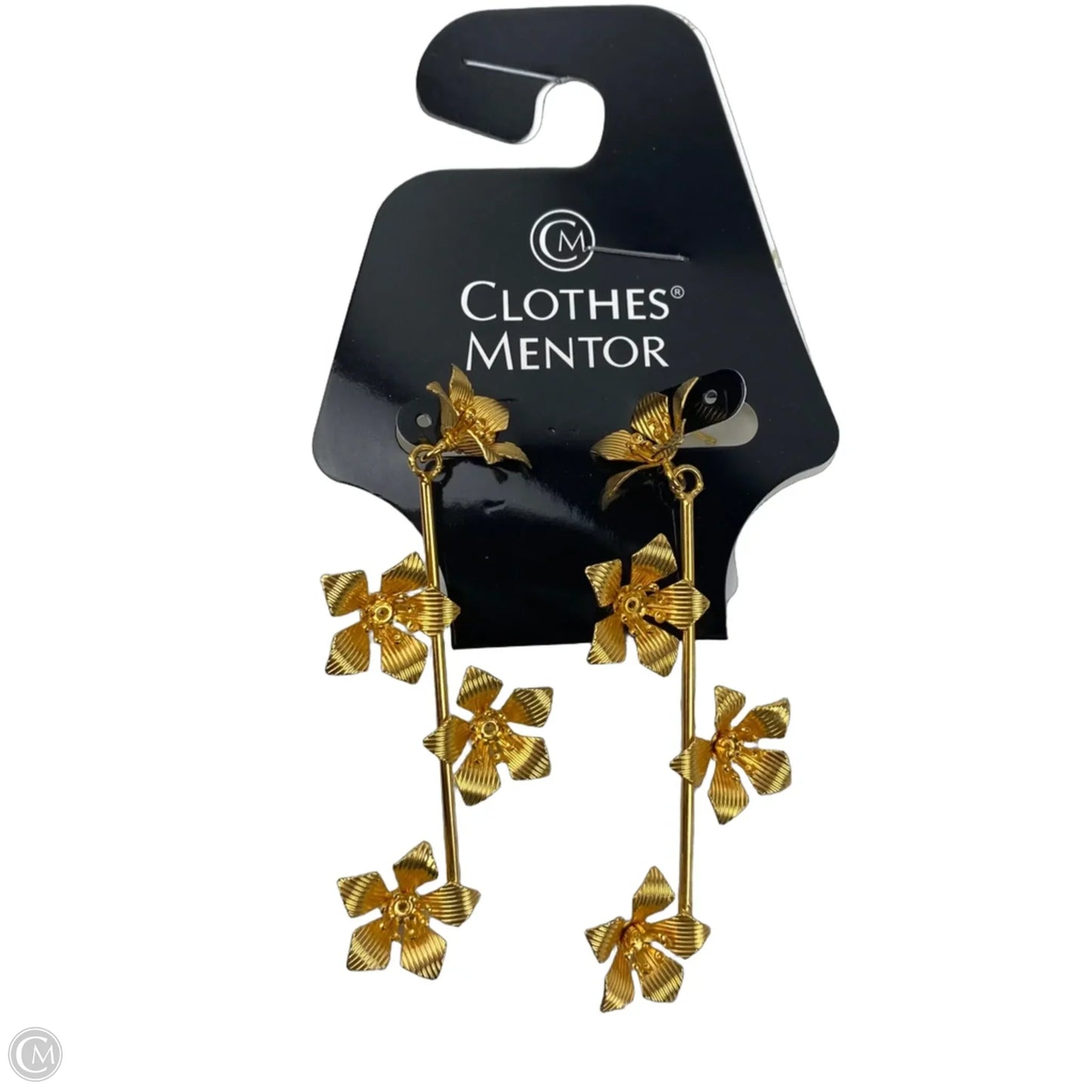 Earrings Dangle/drop By Clothes Mentor