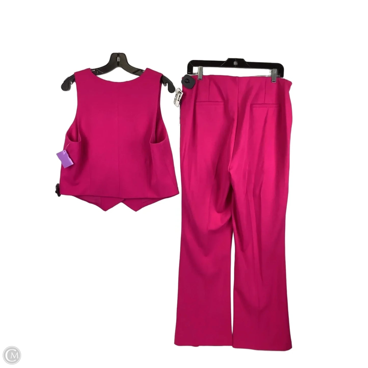 Pants Set 2pc By Cupcakes And Cashmere In Pink, Size: L