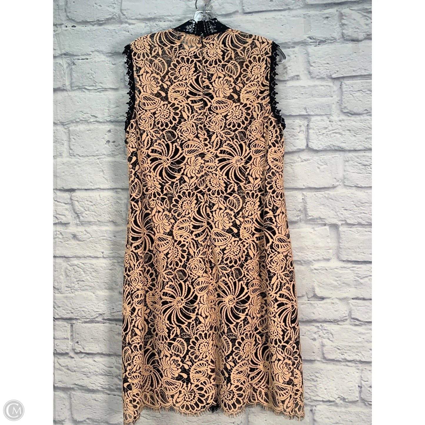 Dress Party Short By Nanette Lepore In Black & Cream, Size: L