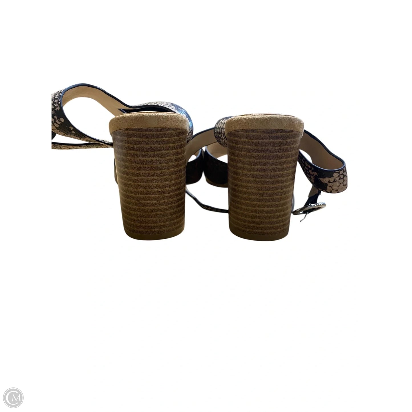 Shoes Heels Block By Alfani In Animal Print, Size: 7