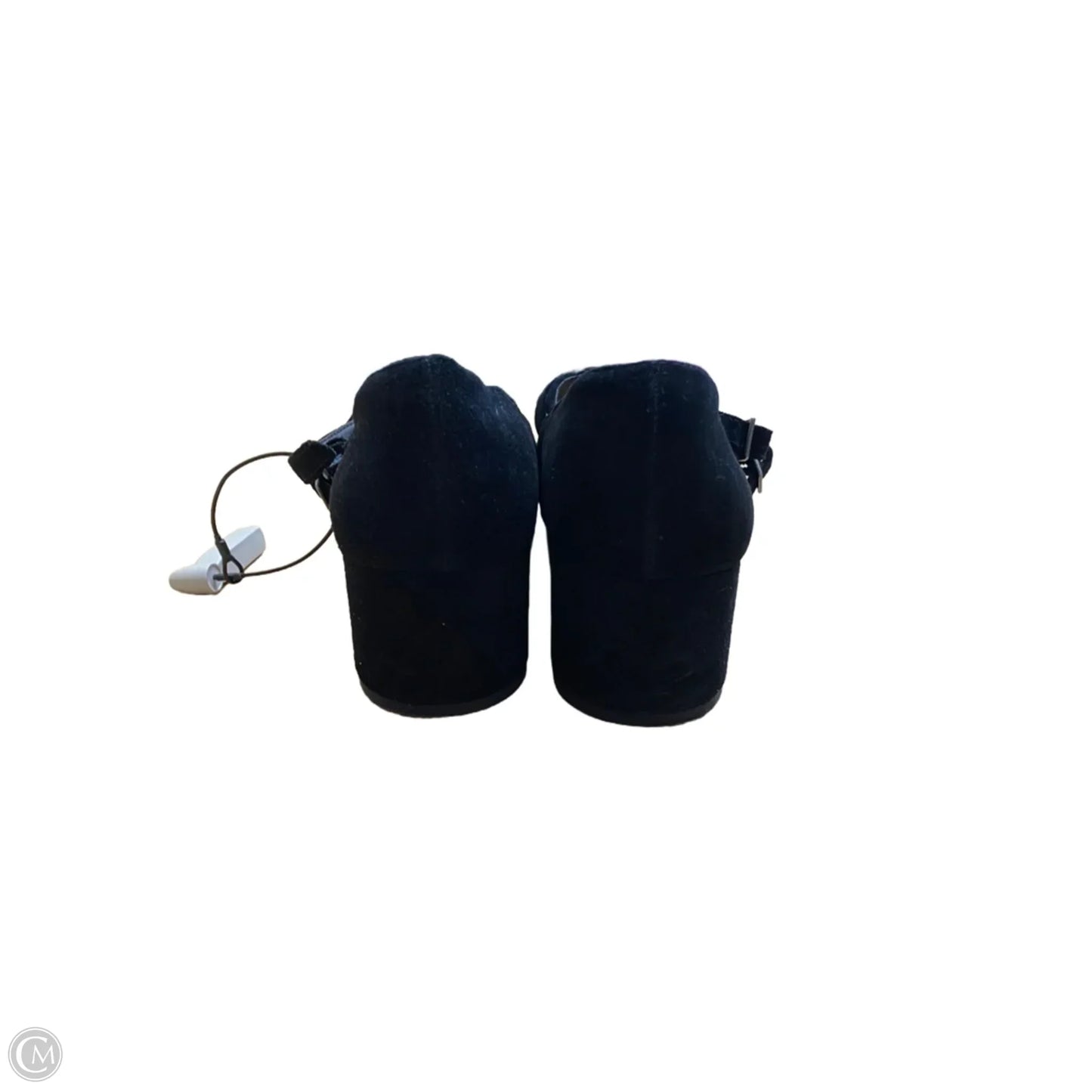 Shoes Heels Block By Steve Madden In Black, Size: 9.5