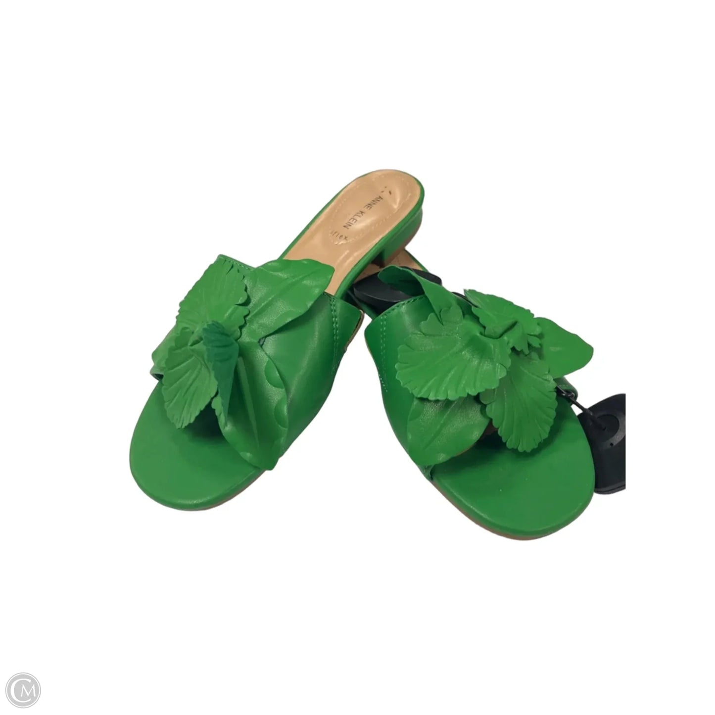 Sandals Flats By Anne Klein In Green, Size: 8