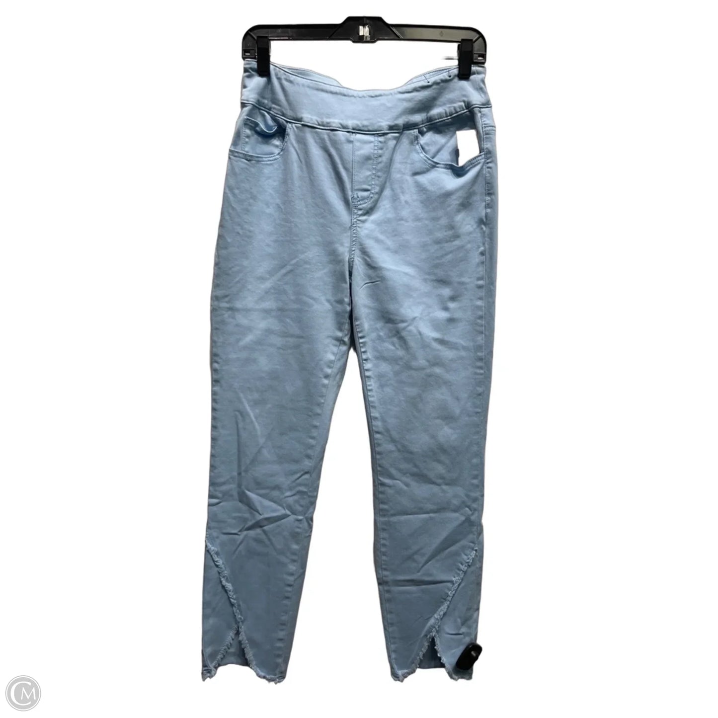 Pants Other By Ethyl In Blue, Size: 10