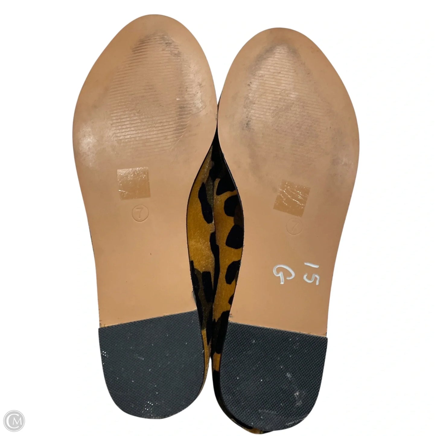 Shoes Flats By Asos In Animal Print, Size: 7