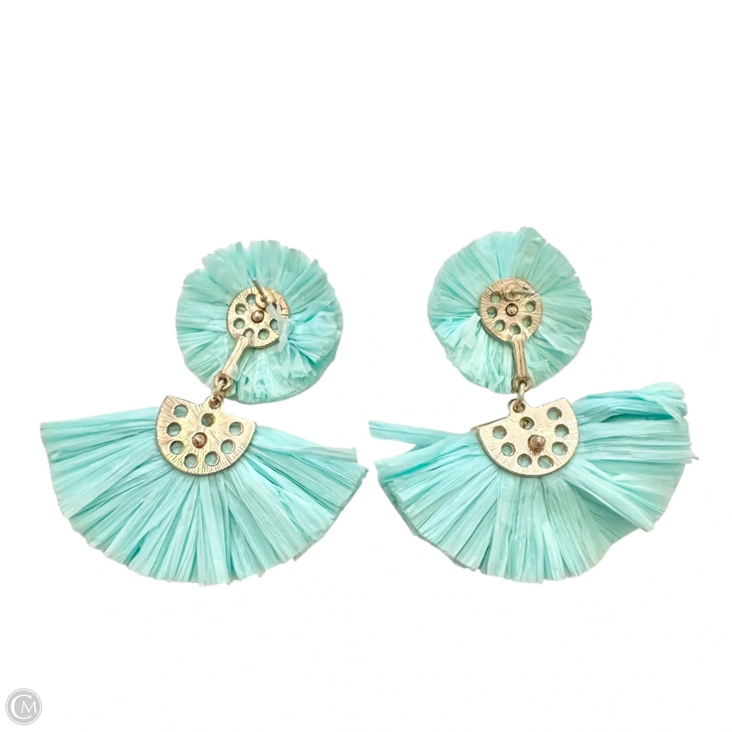 Earrings Dangle/drop