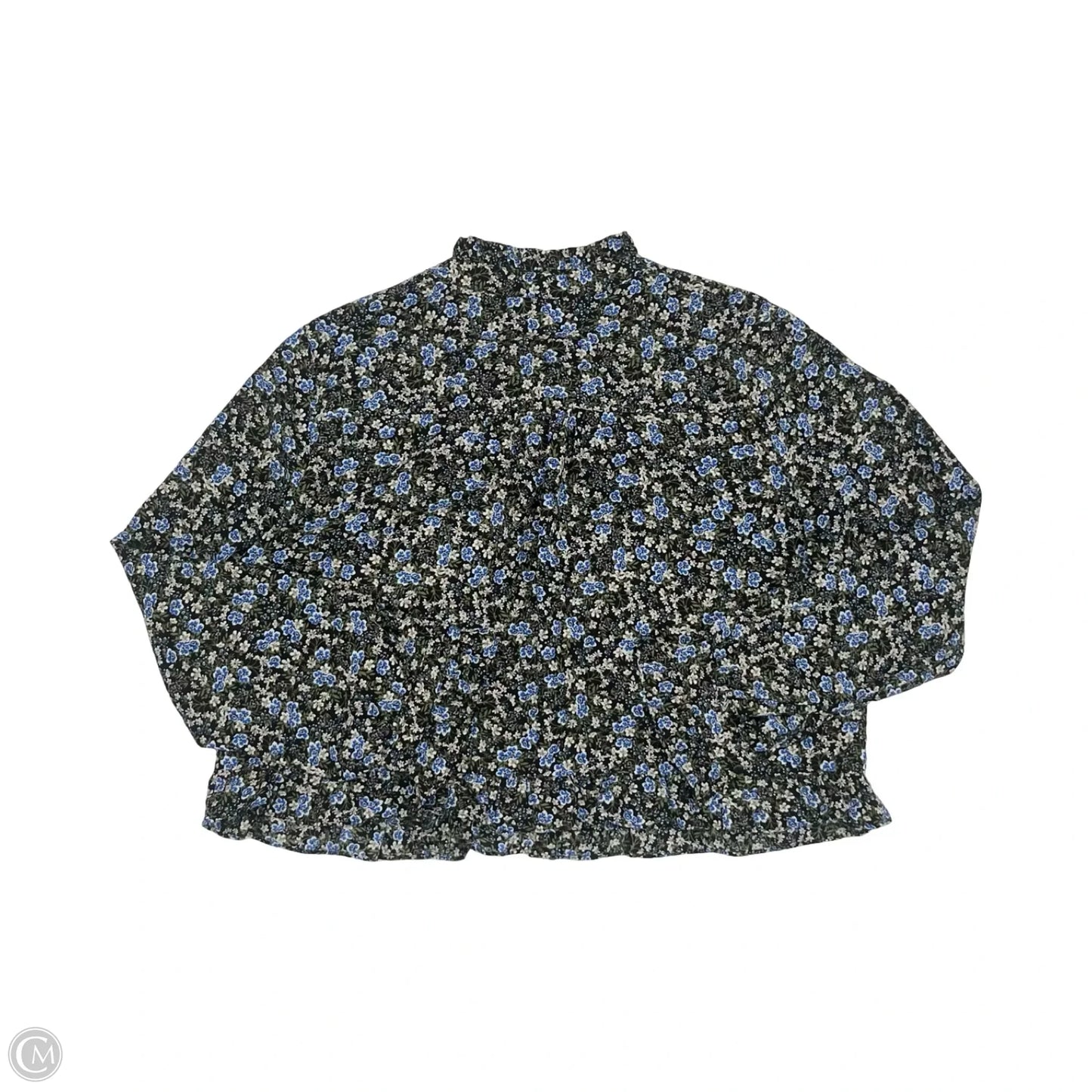 Blouse Long Sleeve By 41 Hawthorn In Floral Print, Size: Xl
